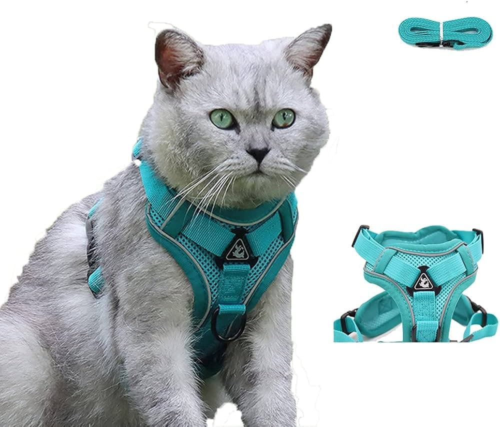 Catnip Toys Australia – Shop the Best Selection at Catshoponline