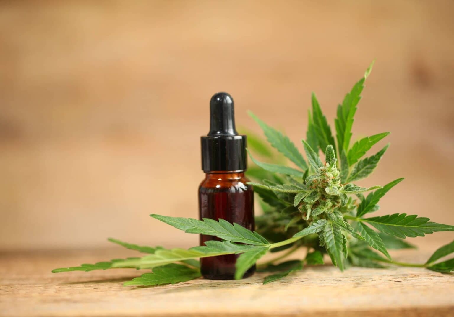 Wholesale CBD Edibles – Miami Rave Delivers Exceptional Quality and Value