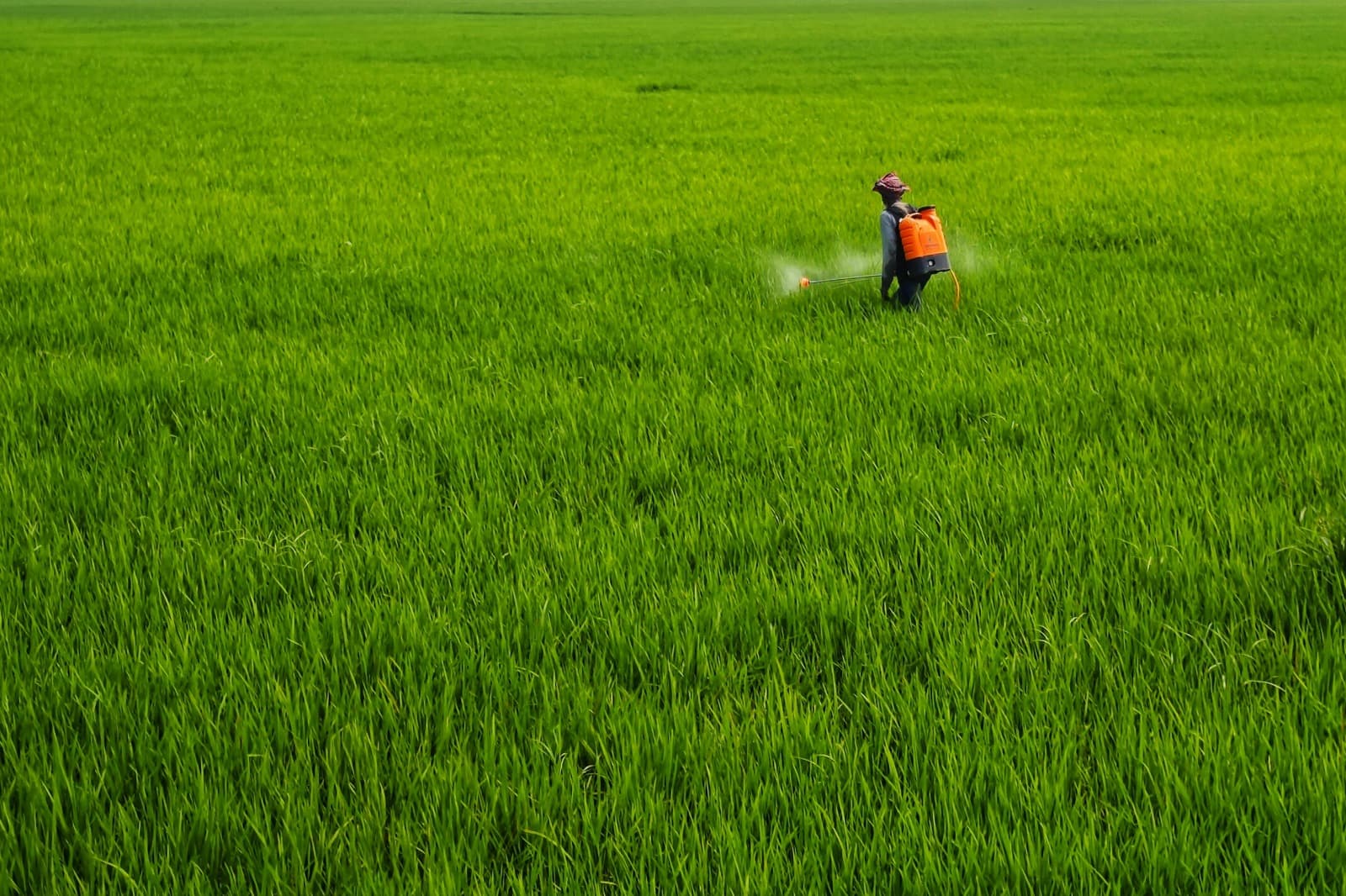 Professional Irrigation Services in Willow Park, TX – Expert Watering Solutions