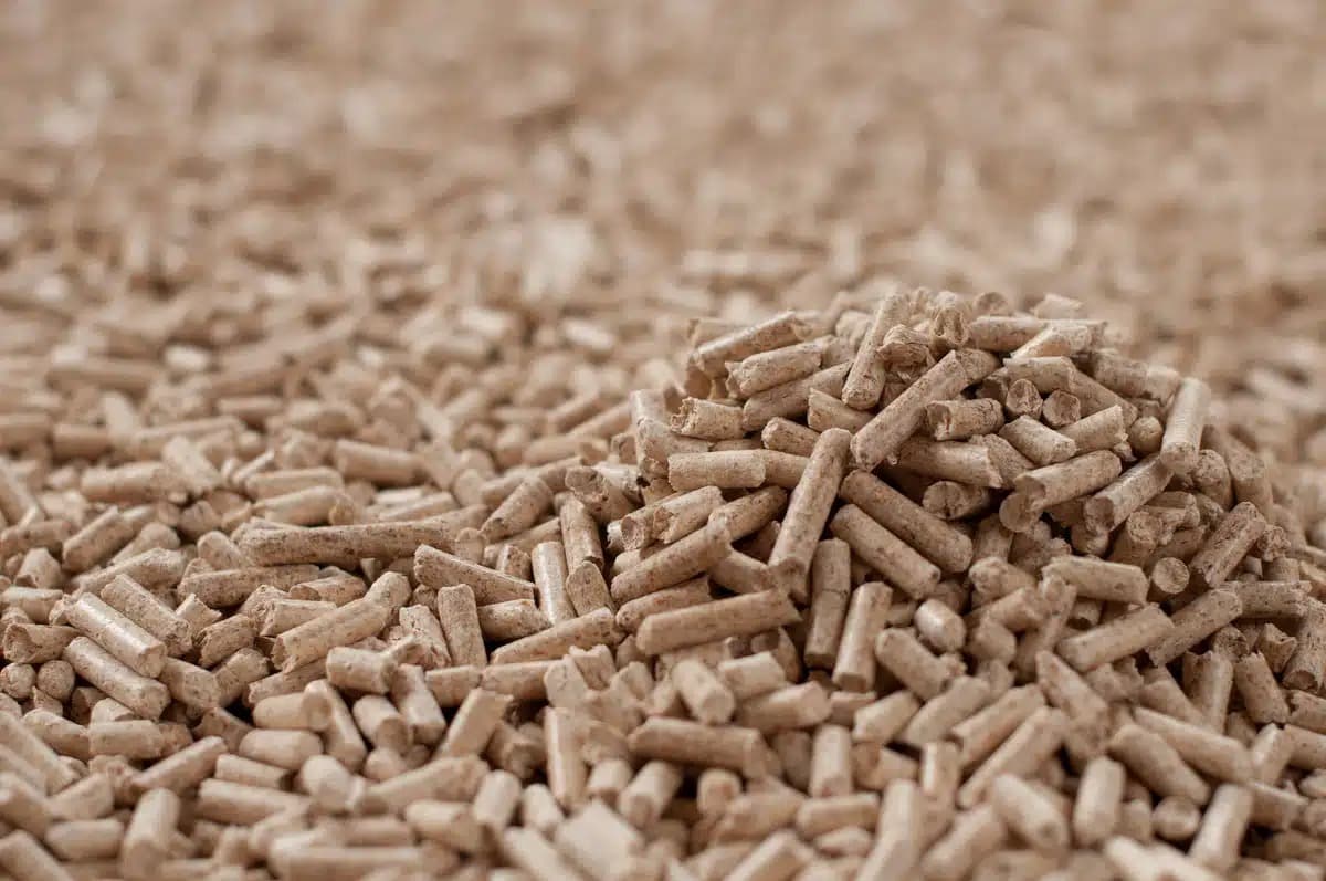 Top-Grade Landscaping Wood Chips Netherlands: Beautify Your Outdoors