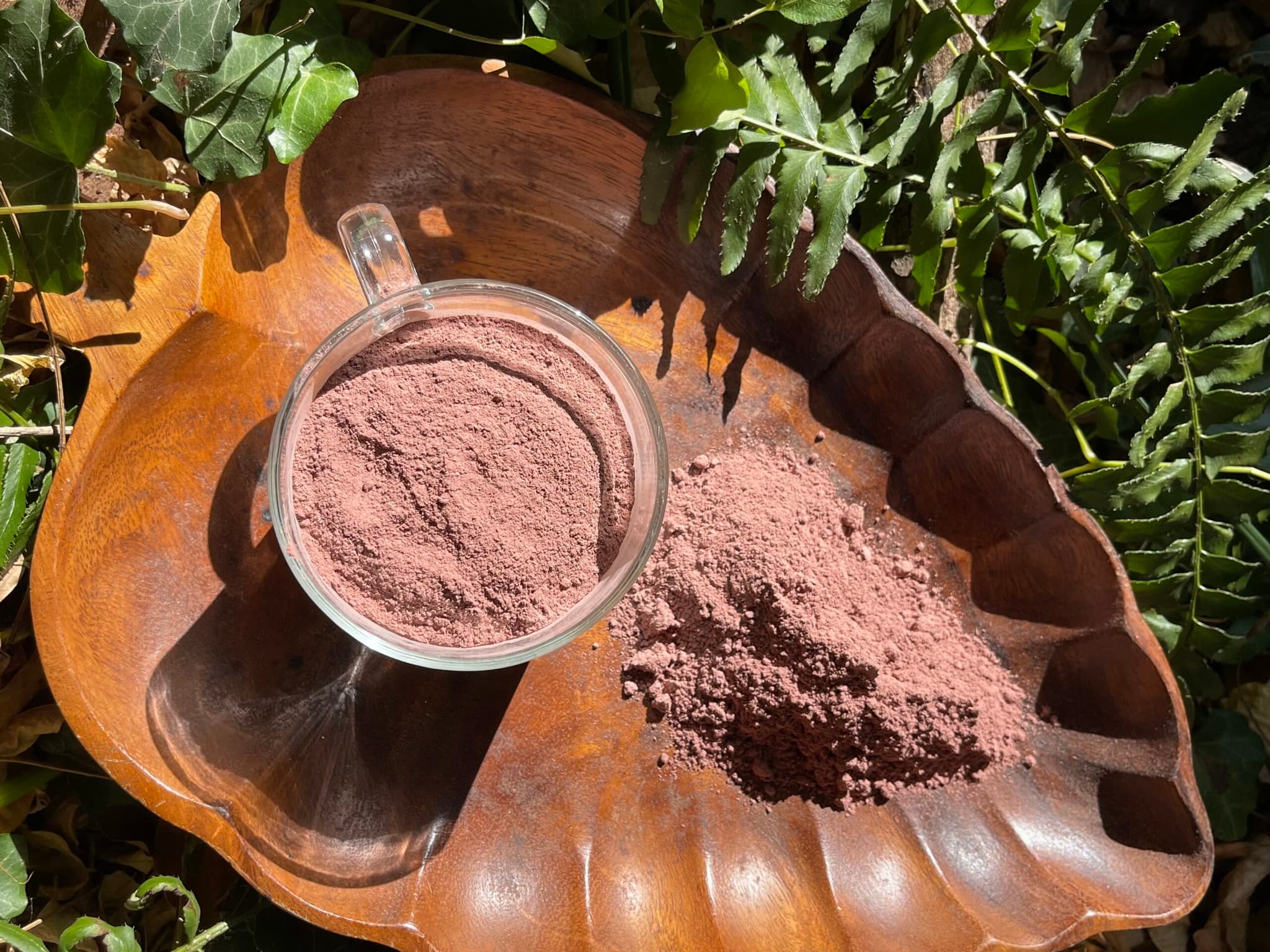Plant-Based Dyeing with Mimosa Hostilis Root Bark for Professionals