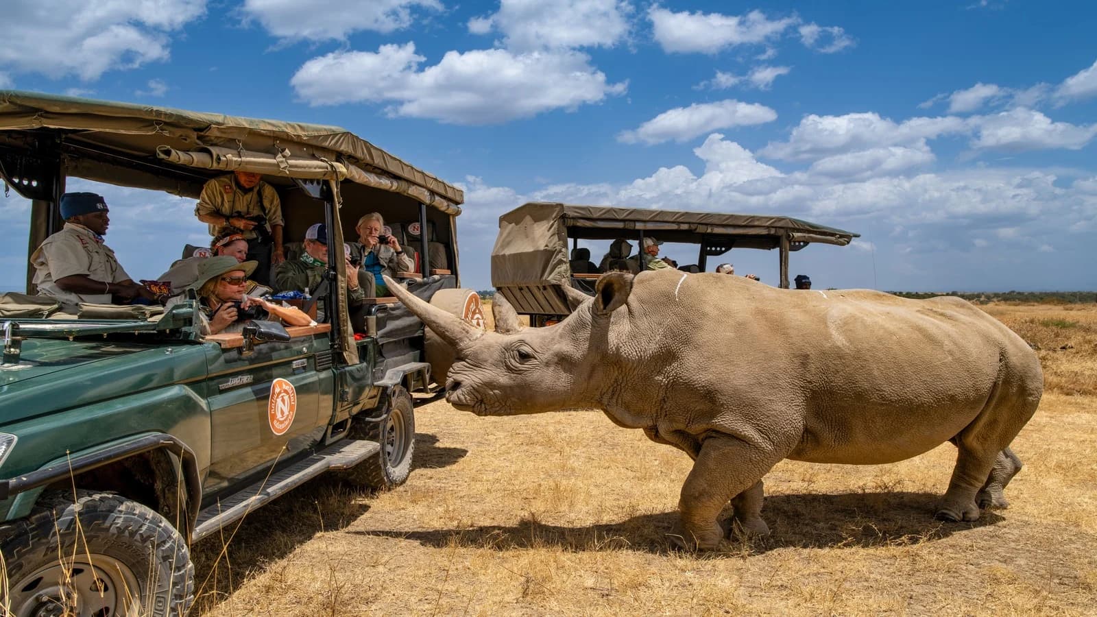 Experience the Great Migration on a Kenya Safari