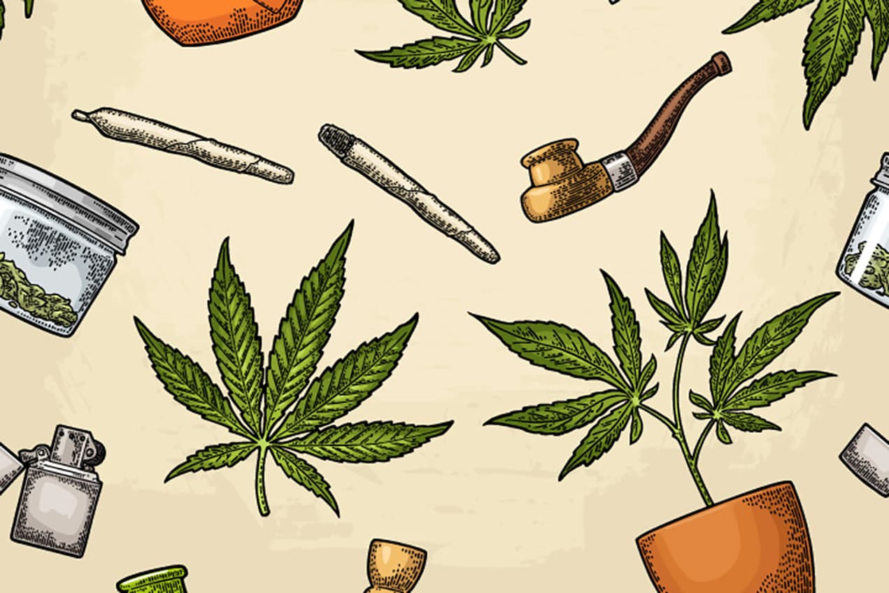 Bluetenbande – Bio-Cannabis aus kontrolliertem Anbau