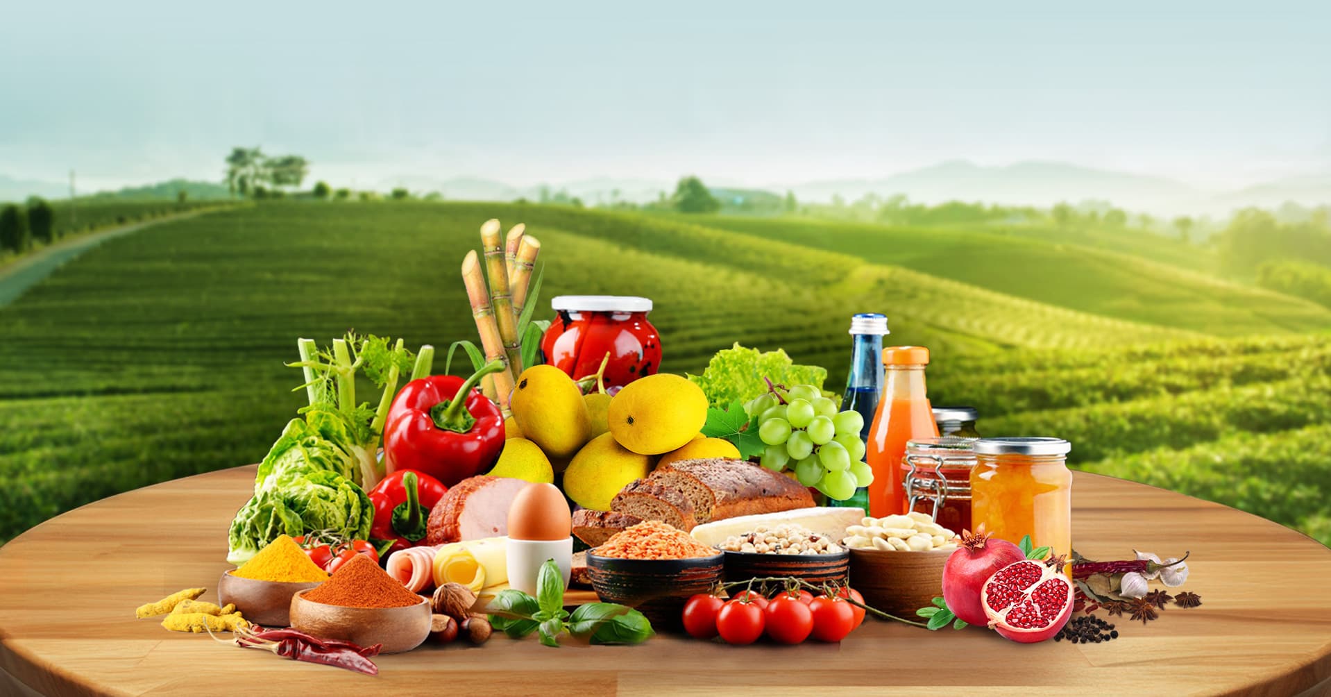 How We Redefine Healthy Food at Nowhere Organics