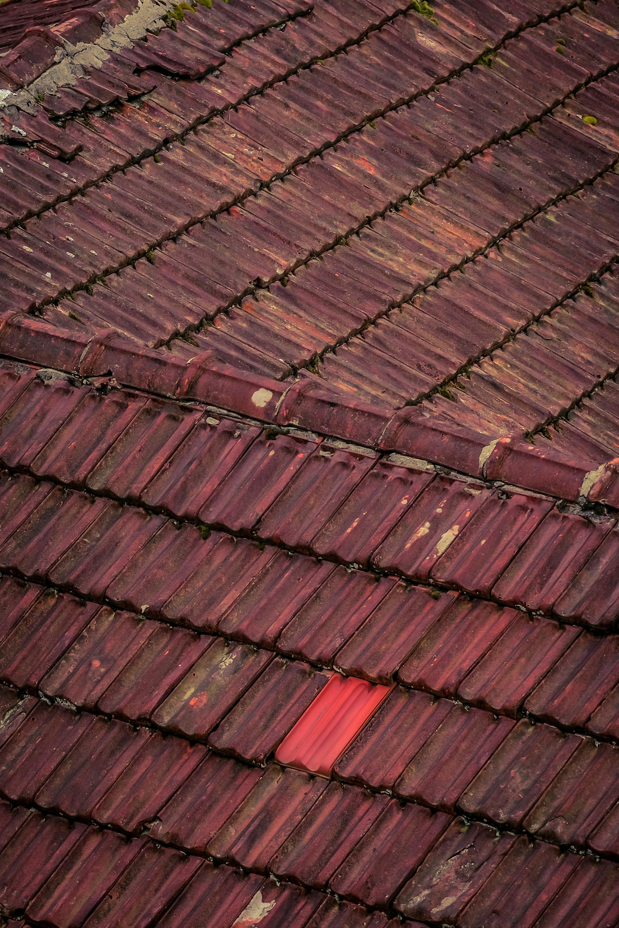 Twin Shield Roofing: Leading the Way in Roofing Innovation