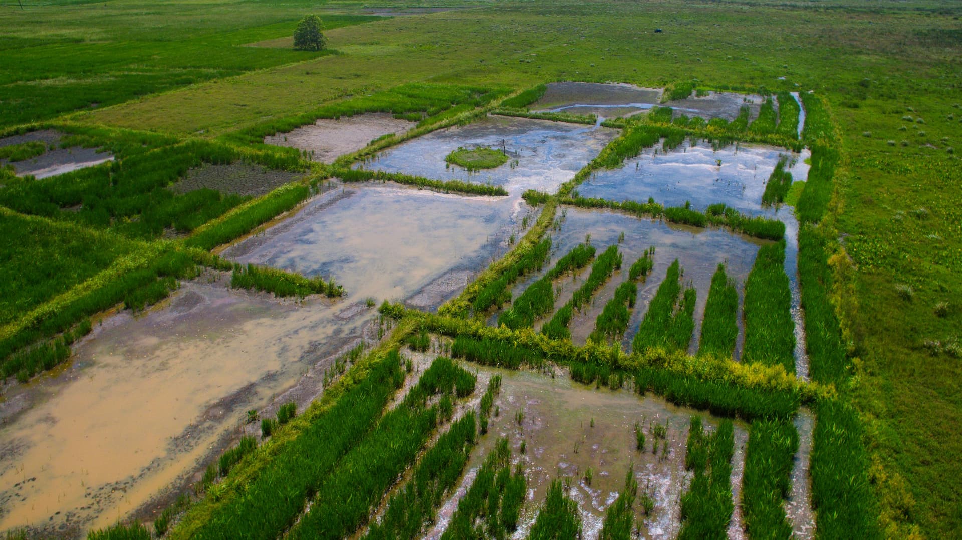 Professional Irrigation Services in Hudson Oaks, TX with Customized Solutions