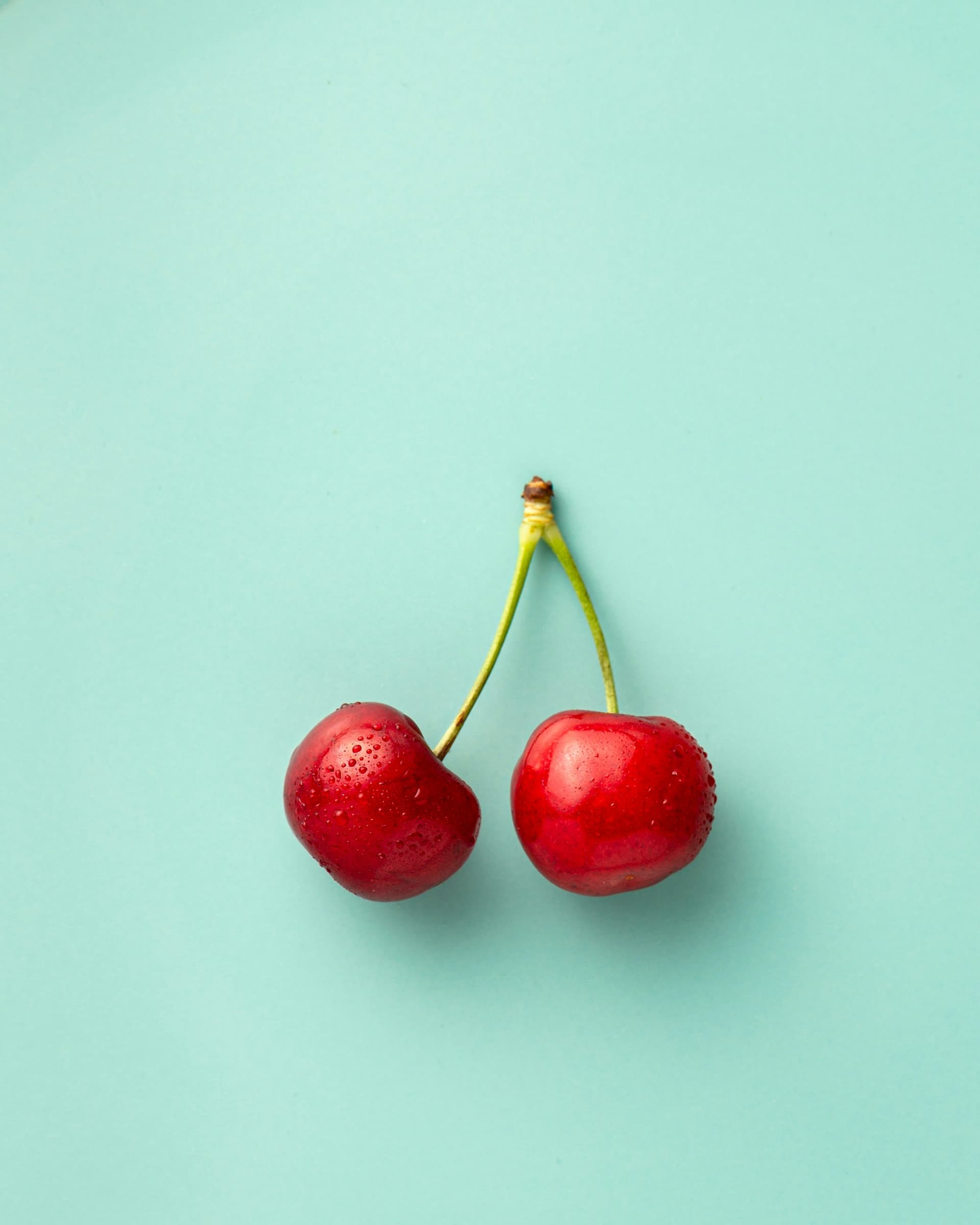 Food Insecurity Help Resources – The Free Food Project