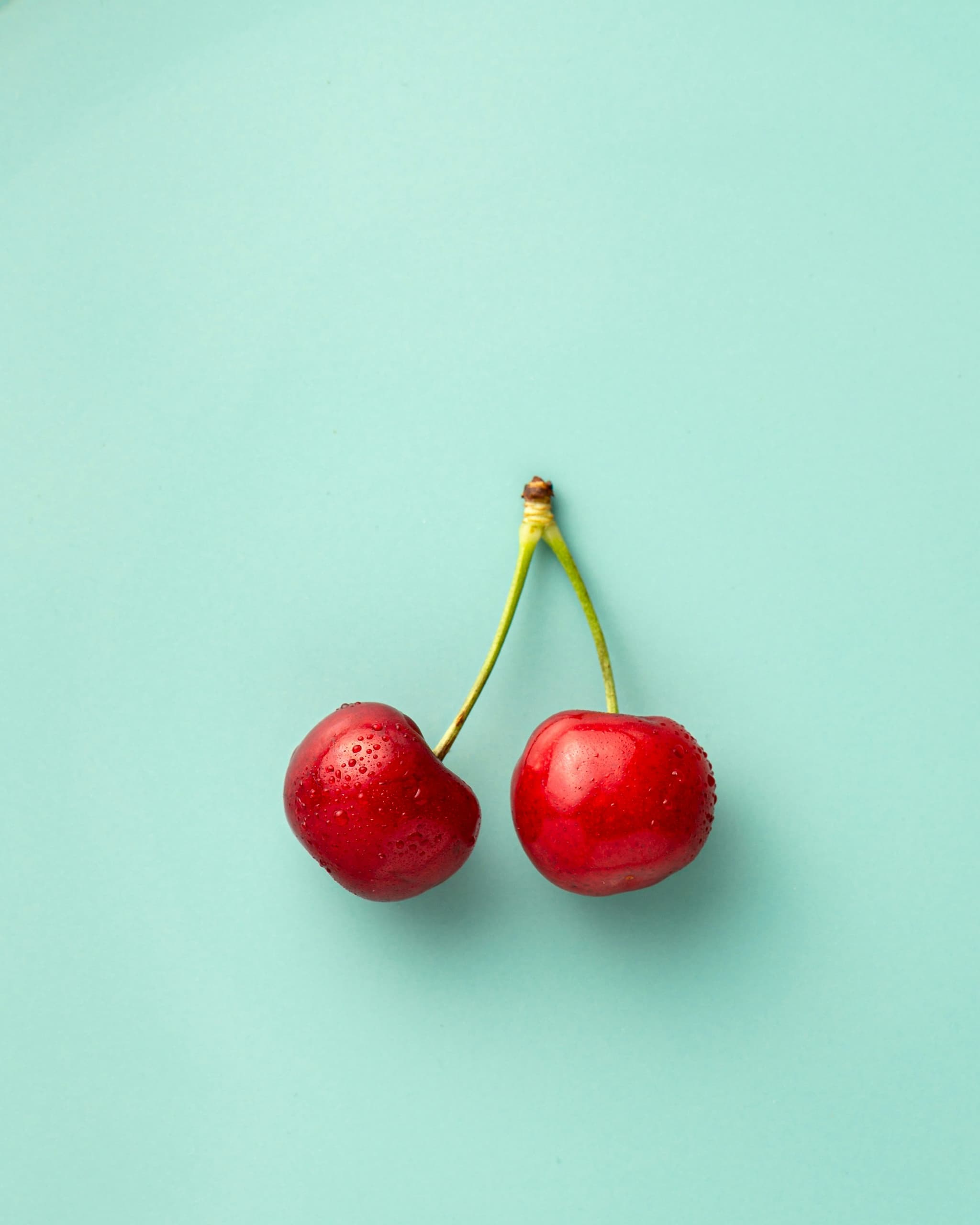 Food Insecurity Help Resources – The Free Food Project