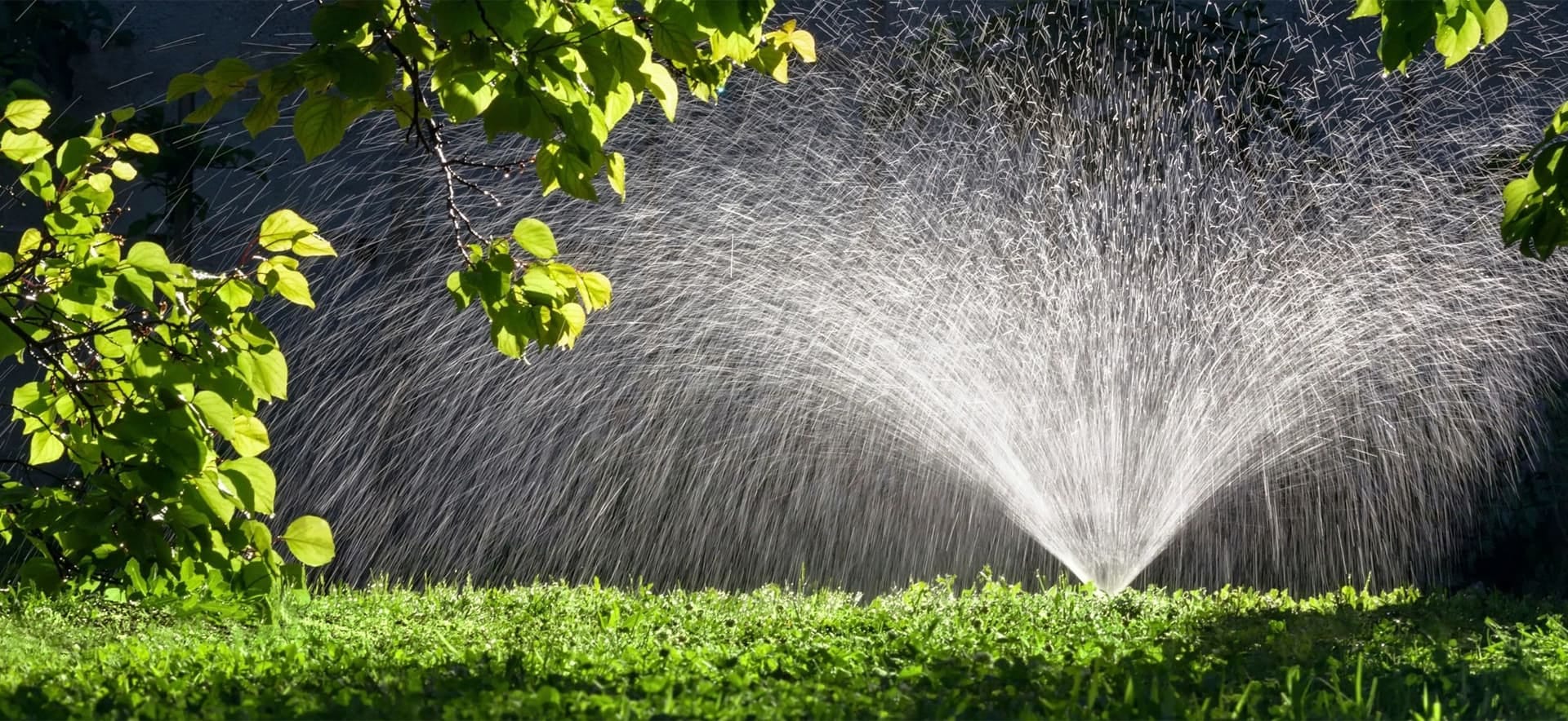 Expert Drainage Services in Saginaw , TX for Effective Water Control