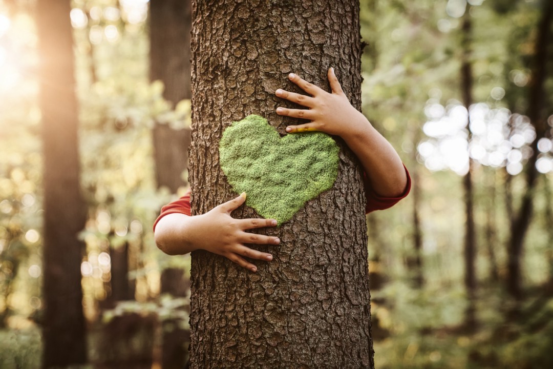 Building a Path to Joy: Insights from https://sourcesofhappiness.com/ for a Fulfilling Life