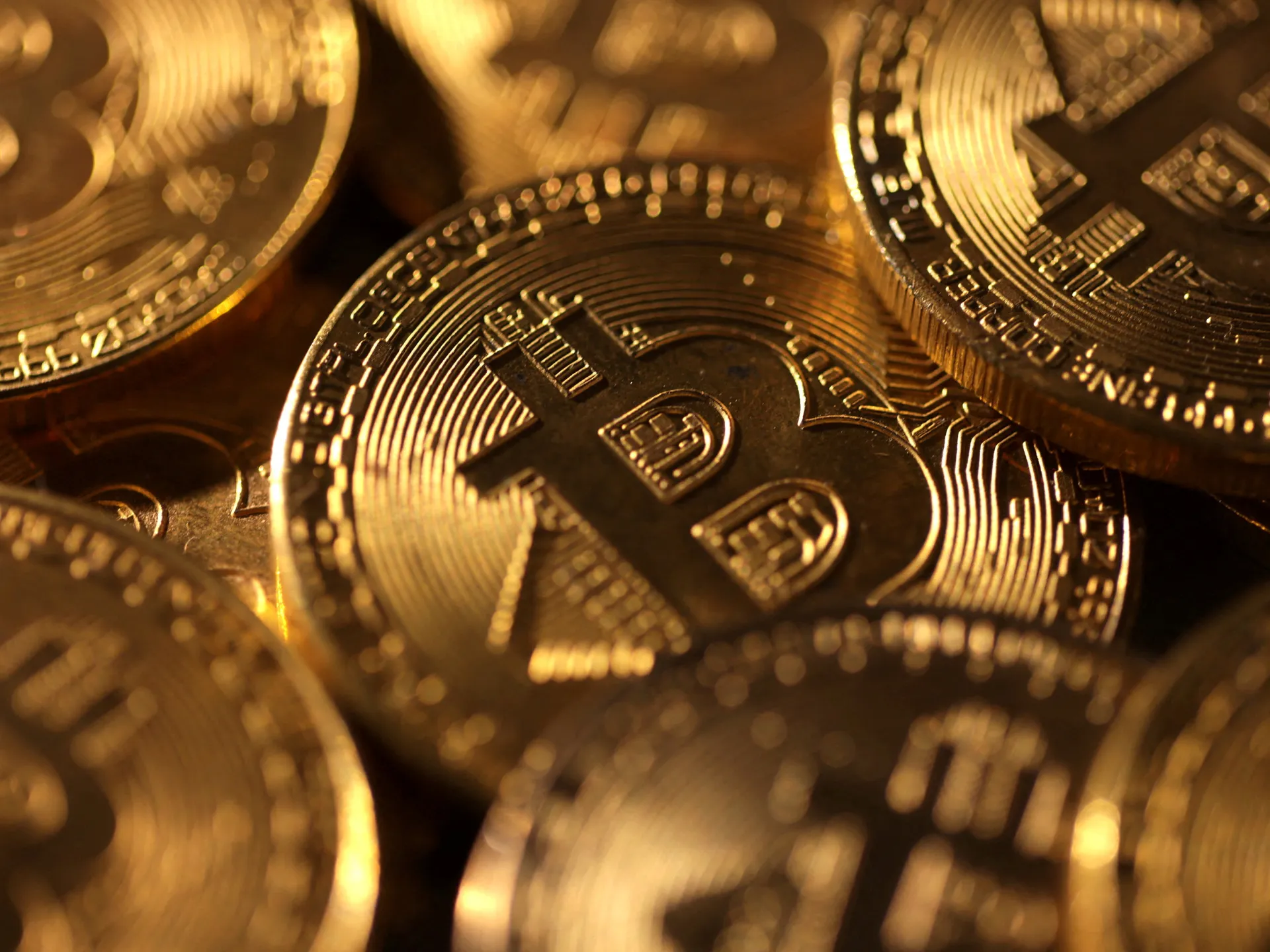 Bitcoin Talk User Opinions: Winna Investment Risks
