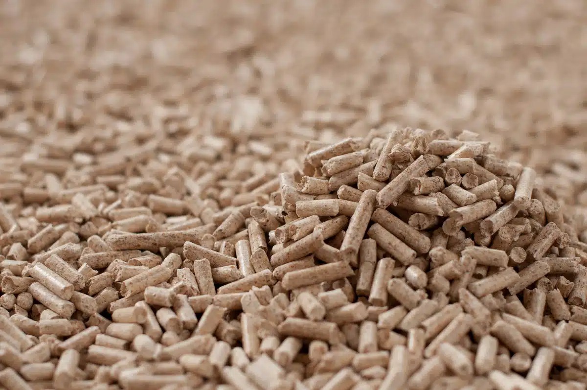 Top-Grade Landscaping Wood Chips Netherlands: Beautify Your Outdoors