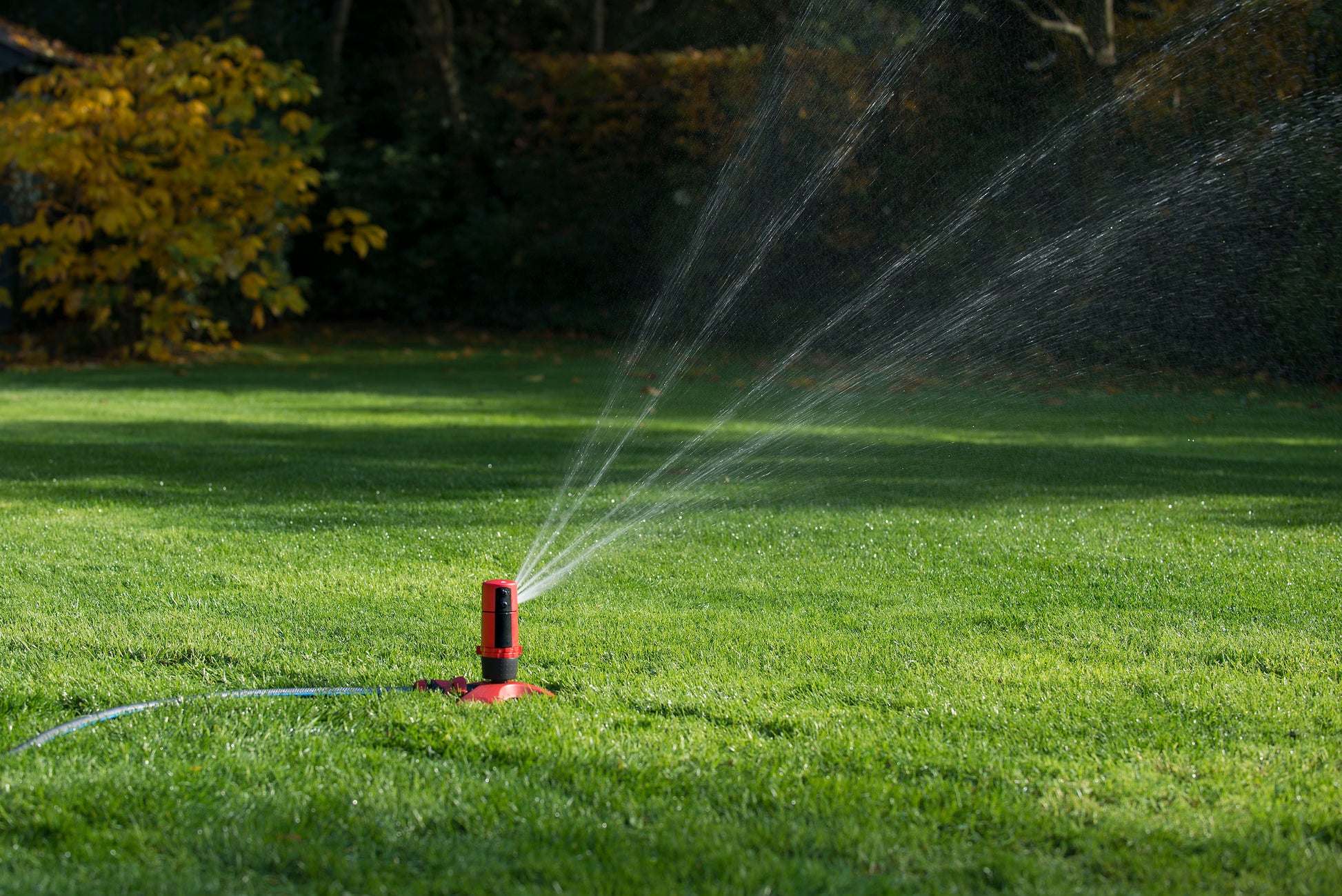 The Sprinkler Company Inc | Professional Lawn & Landscape Irrigation