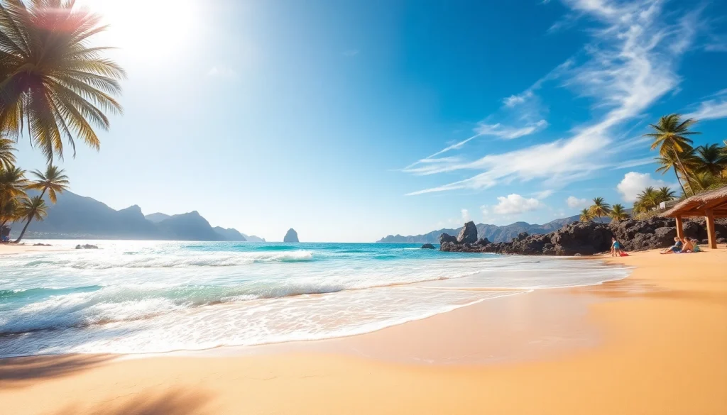 Experience the beauty of Cabo San Lucas travel on a sunny beach with palm trees and gentle waves.