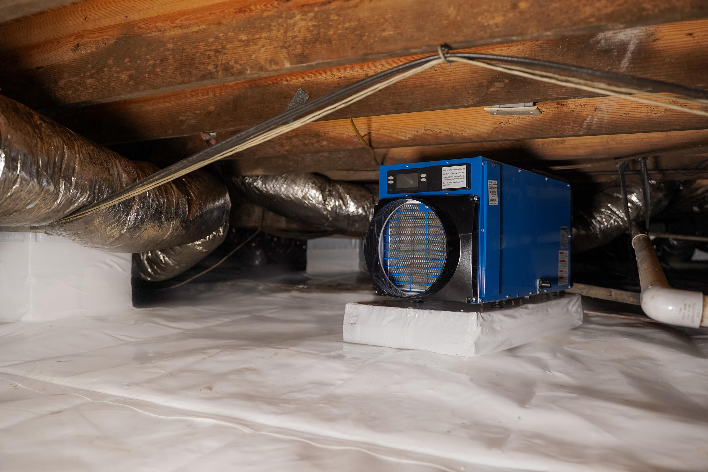 Professional Basement Dehumidification for a Healthier Home