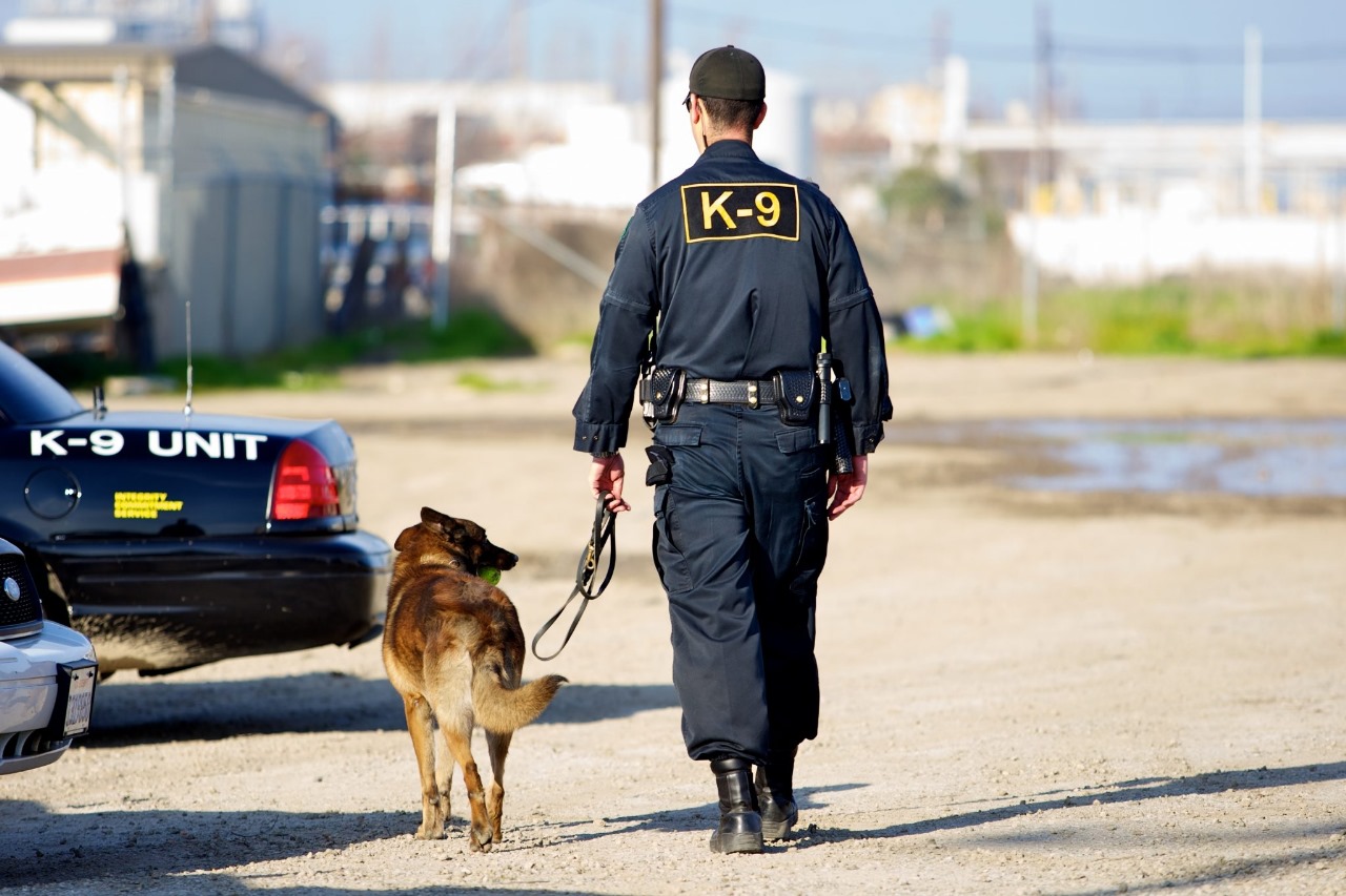 Why Security Dog Services Birmingham Provide Exceptional On-Site Protection
