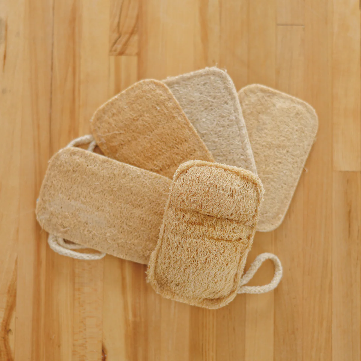 Kitchen Loofah as a Biodegradable Sponge Alternative