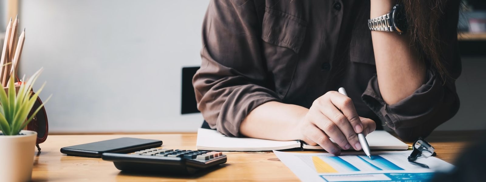 Professional Tax Filing Services You Can Complete from Home