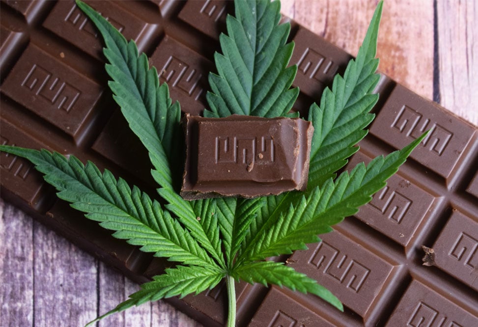 Chocolate Edibles 1000mg: Where Premium Chocolate Meets Potency