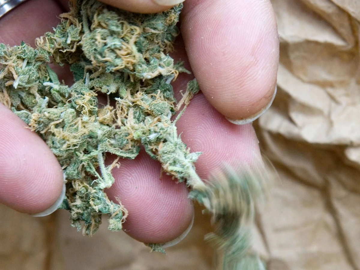 Where to Buy Authentic Kratom Tea in Chiang Mai