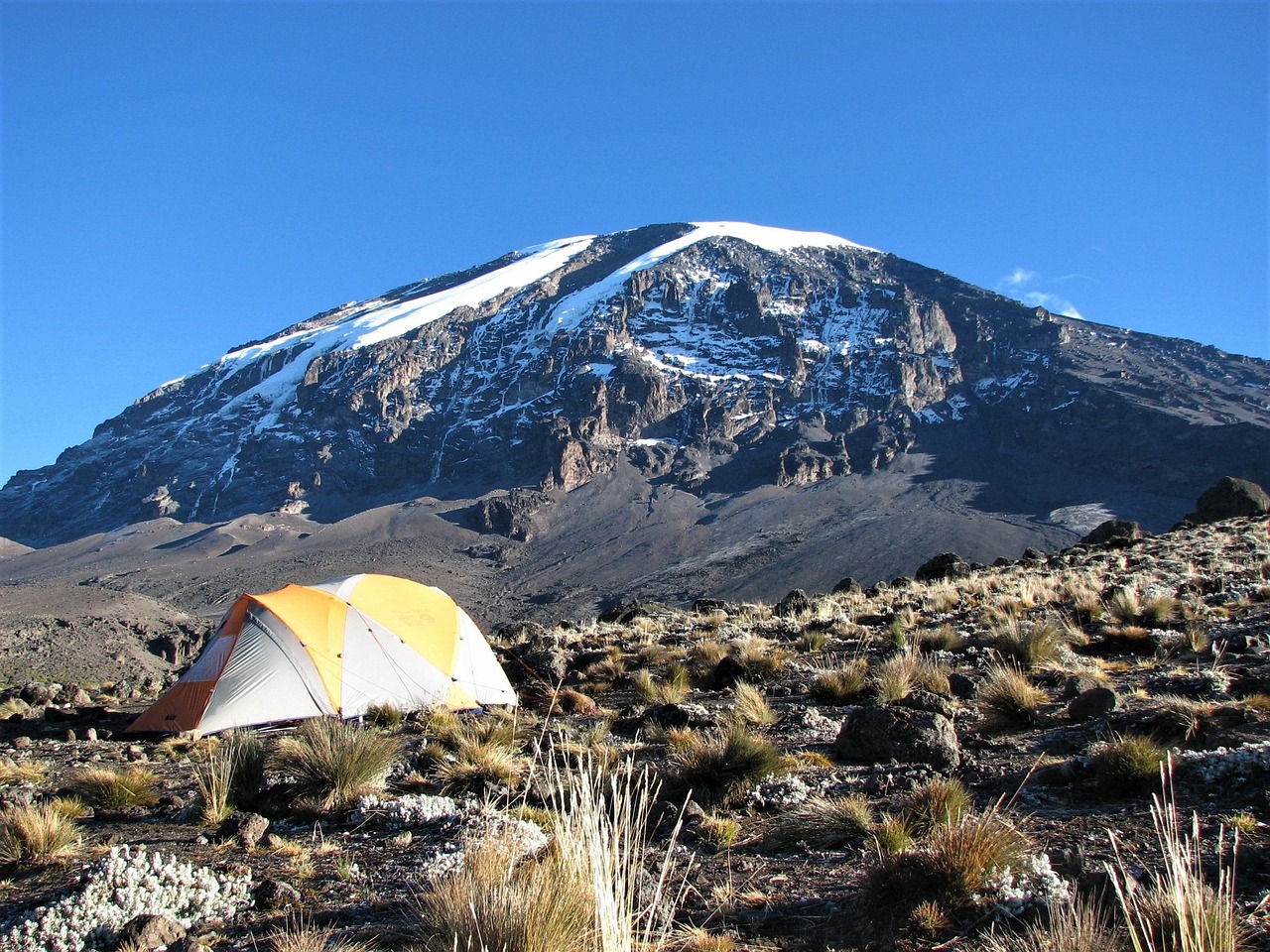 Climb Kilimanjaro and Reach the Summit with Local Expertise